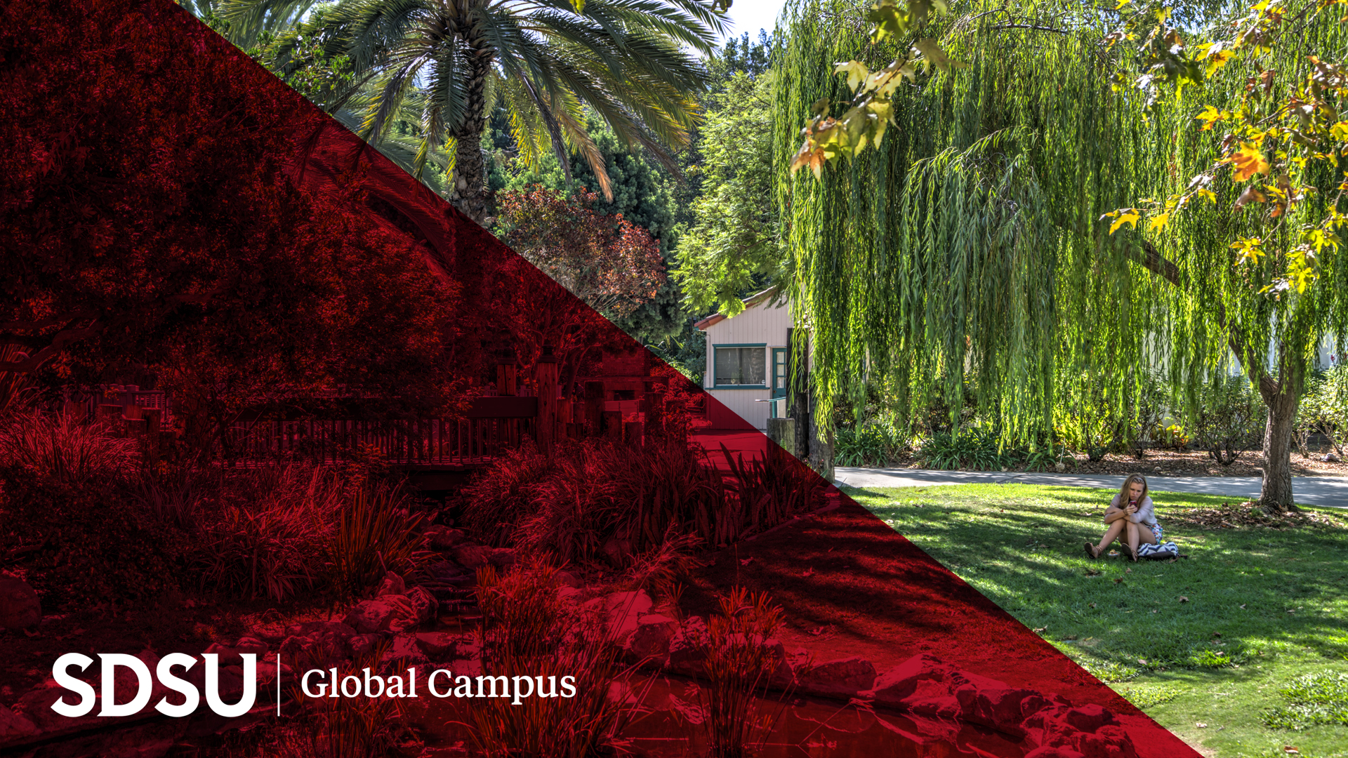 Zoom background with SDSU Global Campus branding
