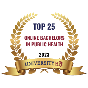 Best Online Bachelors Public Health Program Badge