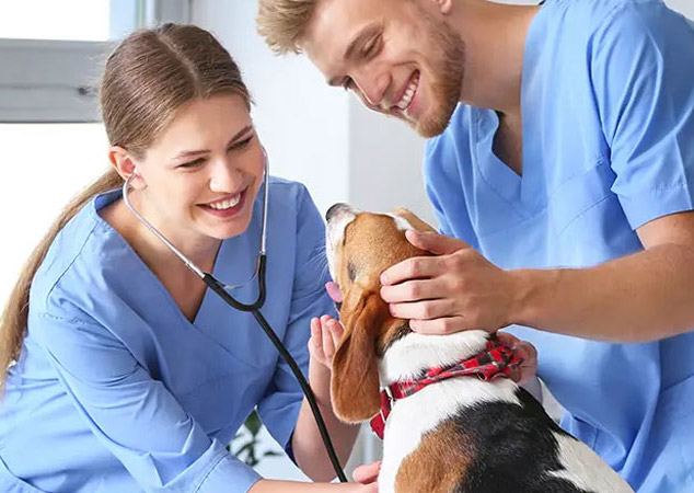 Veterinarians with puppy.
